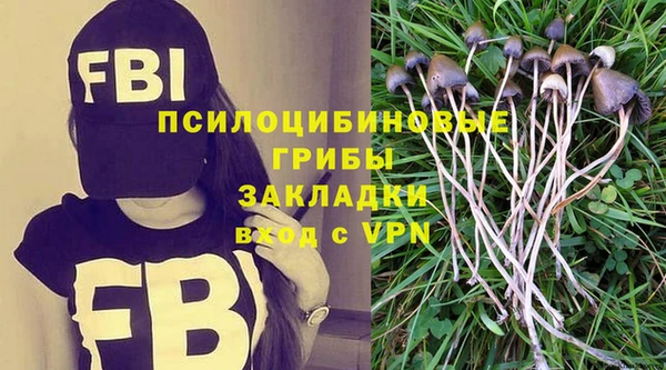 мдпв Болотное
