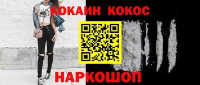 гашик Будённовск