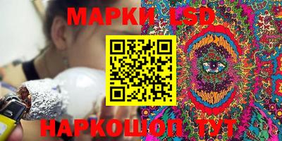 гашик Будённовск