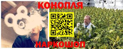 гашик Будённовск