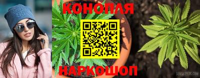 гашик Будённовск