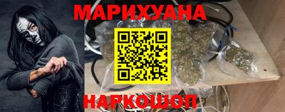 гашик Будённовск