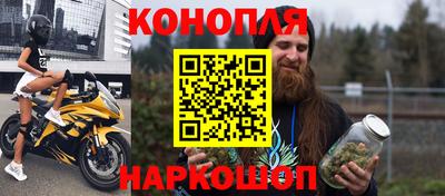 гашик Будённовск