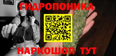 гашик Будённовск