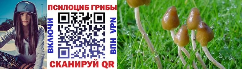 Галлюциногенные грибы Cubensis  где можно купить   Зеленодольск 