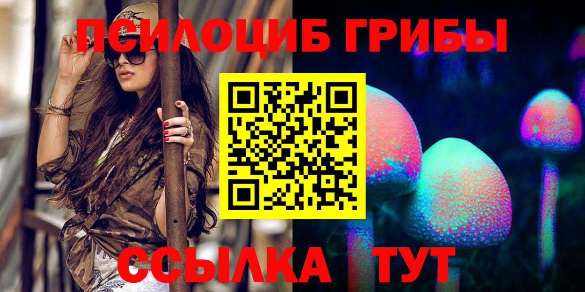 А ПВП Зеленодольск
