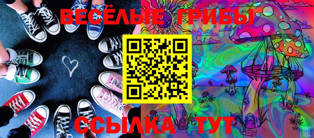Псилоцибиновые грибы Magic Shrooms Зеленодольск