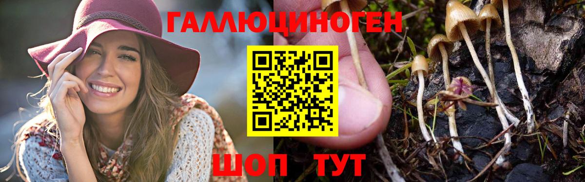 Псилоцибиновые грибы прущие грибы  Зеленодольск 