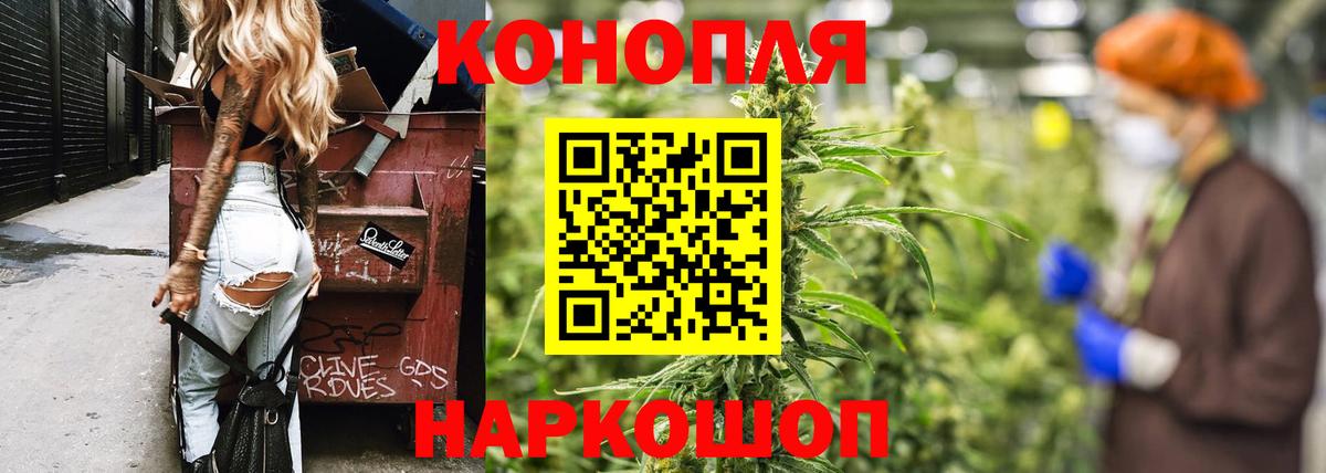 Каннабис SATIVA & INDICA  Канабис SATIVA & INDICA  Зеленодольск  Вход с VPN  Бошки марихуана планчик 
